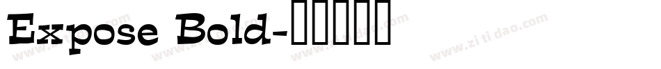 Expose Bold字体转换